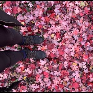 Meet your Posher, Rose Jupiter.